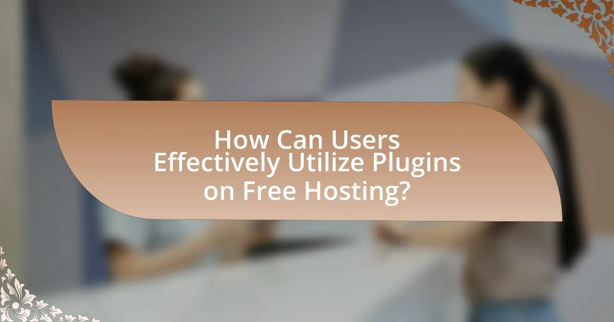 How Can Users Effectively Utilize Plugins on Free Hosting?