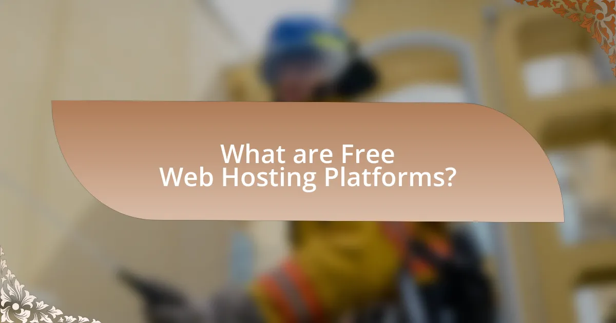 What are Free Web Hosting Platforms?