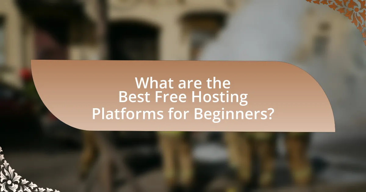 What are the Best Free Hosting Platforms for Beginners?