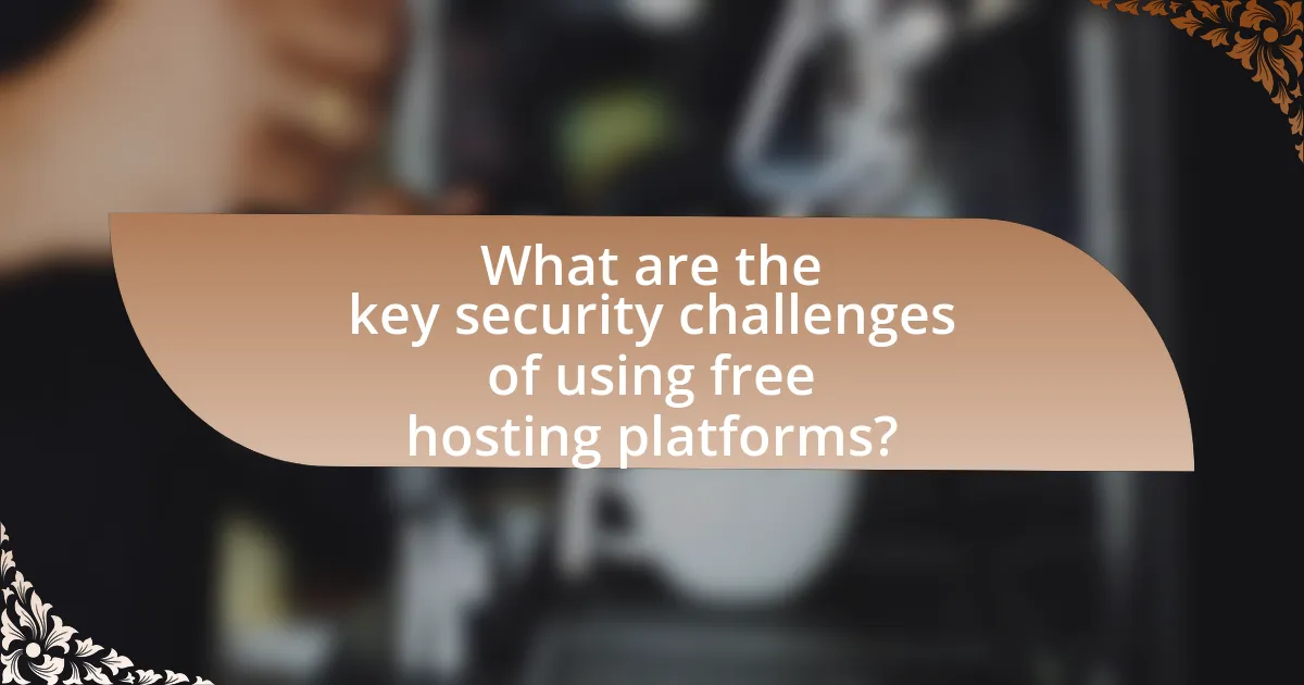 What are the key security challenges of using free hosting platforms?