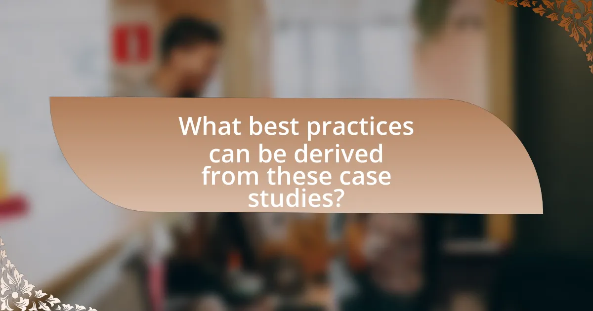 What best practices can be derived from these case studies?