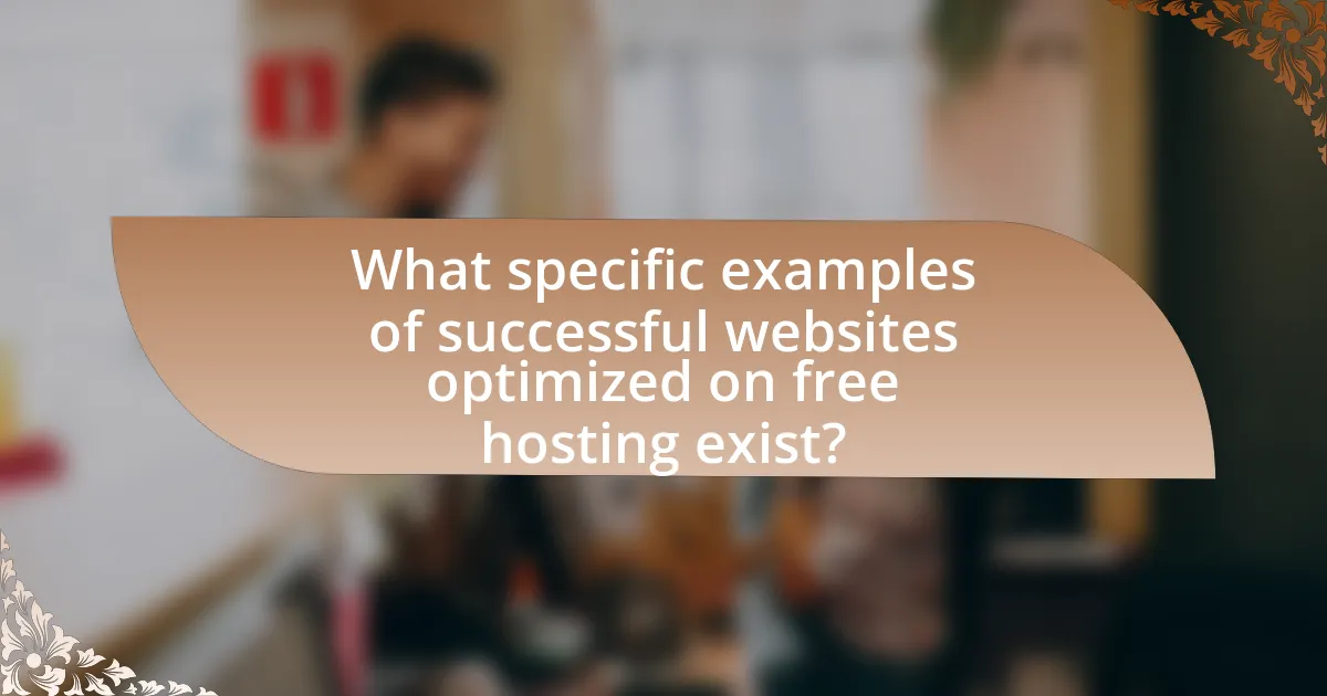 What specific examples of successful websites optimized on free hosting exist?